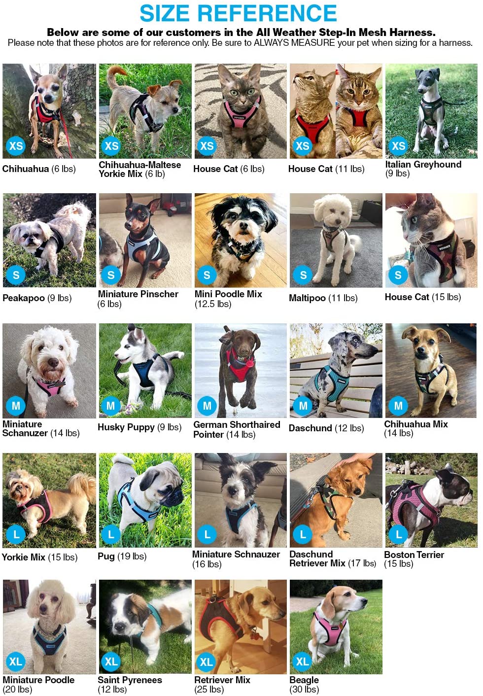 Step-in Air World's Best Dog Harness