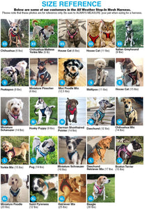 Step-in Air World's Best Dog Harness