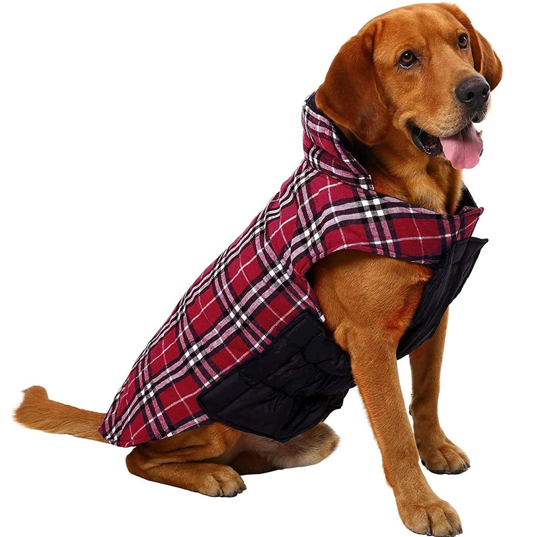 Reversible Cozy Dog Winter Coat Waterproof British Style