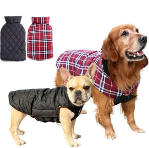 Reversible Cozy Dog Winter Coat Waterproof British Style